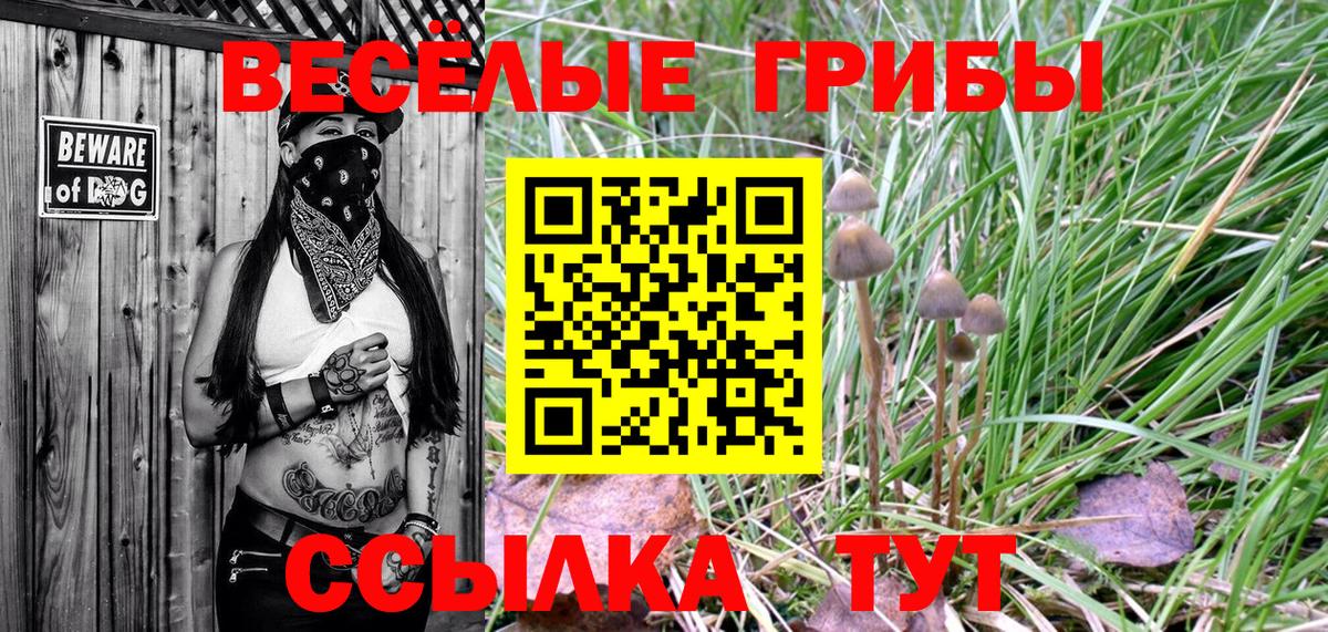 Галлюциногенные грибы мухоморы Самара