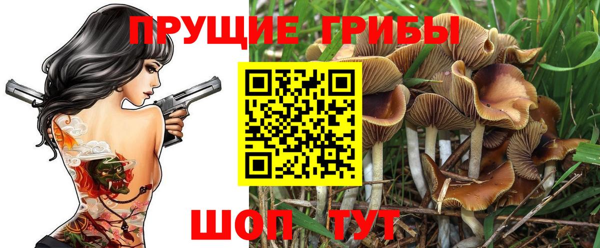 Самара  Галлюциногенные грибы прущие грибы  Вход с VPN 
